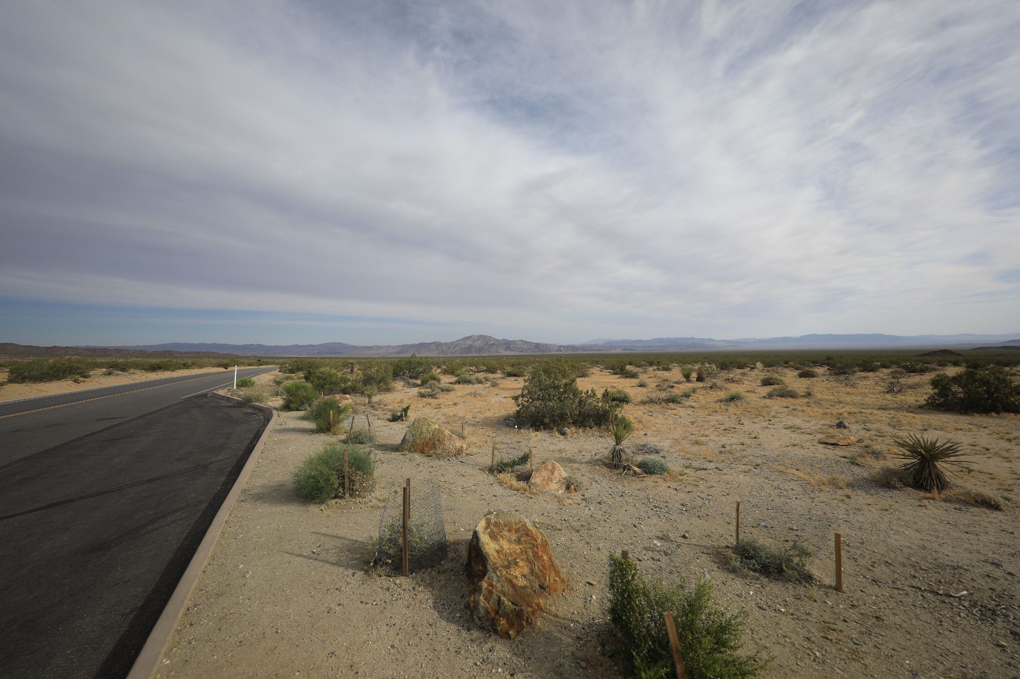 Joshua-Tree-Nationalpark